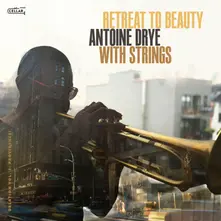 CD WITH STRINGS: RETREAT TO BEAUTY (OBLATION, VOL. 3: PROVIDENCE!)