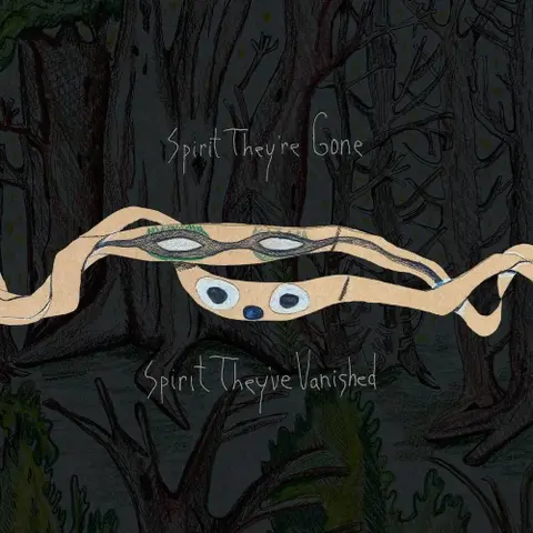 Animal Collective – Vinyl SPIRIT THEY'RE GONE, SPIRIT THEY'VE VANISHED (Red Vinyl)