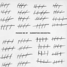 Submotion Orchestra, Vinyl PASSED ME BY