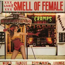 Vinyl SMELL OF FEMALE