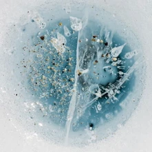 Manu Delago, CD SNOW FROM YESTERDAY