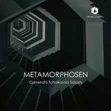 METAMORPHOSEN thumbnail