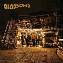 Vinyl BLOSSOMS