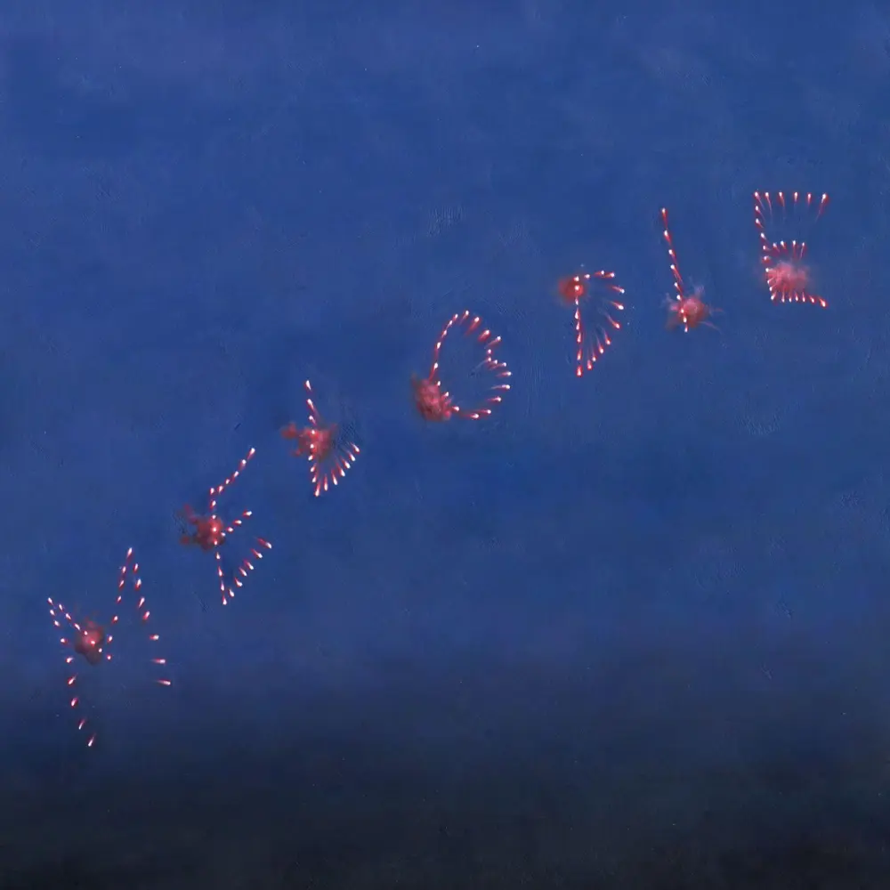 MELODIE