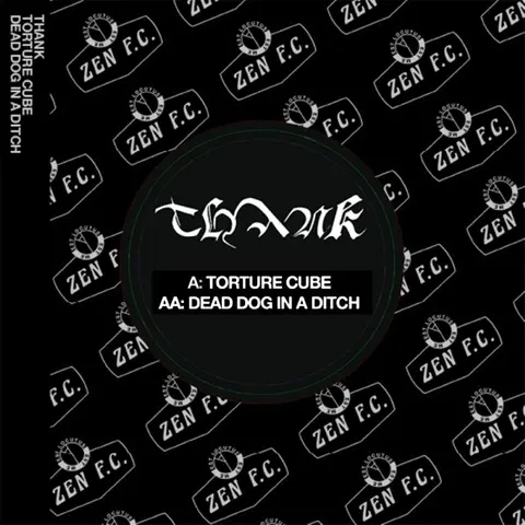 TORTURE CUBE