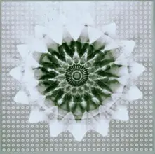 CD Jon Hassell Vs 808 State - Voiceprint