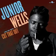 Junior Wells, Vinyl CUT THAT OUT - 1953-1963 SIDES