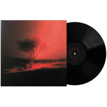 JOJI, Vinyl PISS IN THE WIND