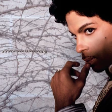 Prince, Vinyl Musicology