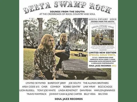 DELTA SWAMP ROCK