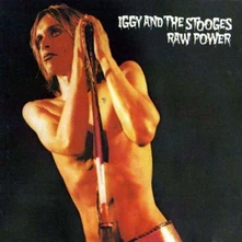 Iggy & The Stooges, Vinyl RAW POWER
