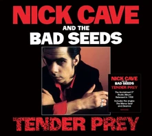 Nick Cave & The Bad Seeds, CD TENDER PRAY