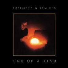 Vinyl ONE OF A KIND