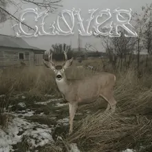 CLOVER thumbnail