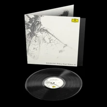 Roger Eno, Vinyl WITHOUT WIND, WITHOUT AIR