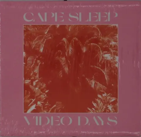 VIDEO DAYS