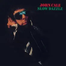Vinyl SLOW DAZZLE