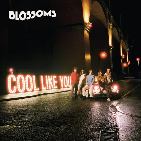 Blossoms – Vinyl COOL LIKE YOU