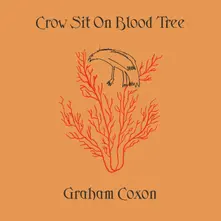 Graham Coxon, Vinyl CROW SIT ON BLOOD TREE