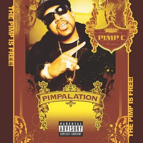 CD PIMPALATION