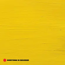 Vinyl EVERYTHING IS RECORDED