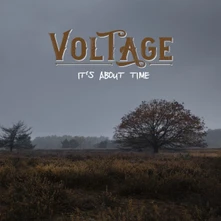Voltage, Vinyl IT'S ABOUT TIME