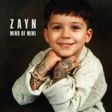 Vinyl Mind of Mine
