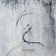 Lunatic Soul, CD IMPRESSIONS