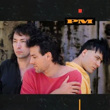 Paul McCartney, CD Pm