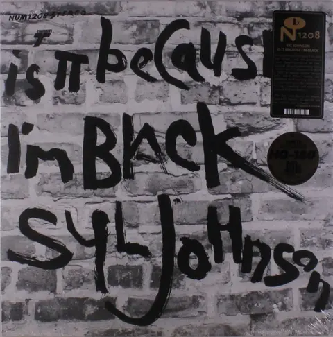 JOHNSON, SYL - IS IT BECAUSE I'M BLACK