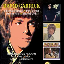 David Garrick – A BOY CALLED DAVID / D... (CD)