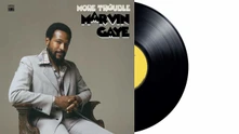 Marvin Gaye, Vinyl MORE TROUBLE