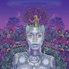 CD New Amerykah Part Two (Return of the Ankh)