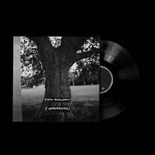 Vinyl A NEW PLACE 2 DROWN