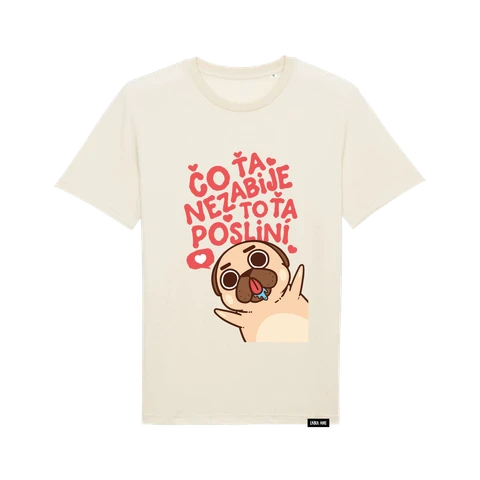 Čo ťa nezabije, to ťa posliní