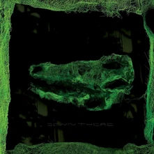 Avey Tare, Vinyl DOWN THERE