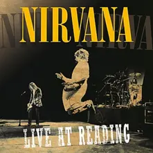 Vinyl LIVE AT READING