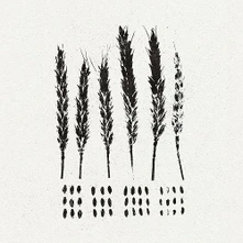 Lo!, Vinyl GLEANERS