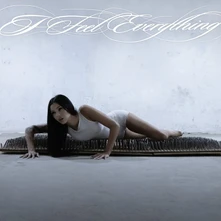 CD I FEEL EVERYTHING