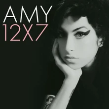 Amy Winehouse, Vinyl 12x7: The Singles Collection