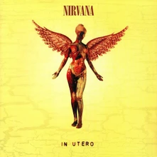 Vinyl In Utero