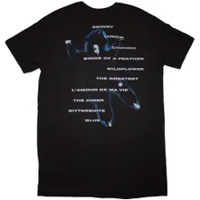 Hit Me Hard And Soft Tracklist thumbnail