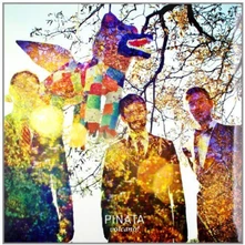 Vinyl PINATA
