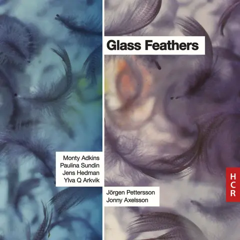 GLASS FEATHERS