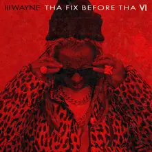 Lil Wayne, Vinyl Tha Fix Before Tha VI