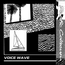 Coliseum, Vinyl VOICE WAVE