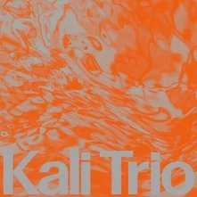 KALI TRIO, Vinyl THE PLAYFUL ABSTRACT