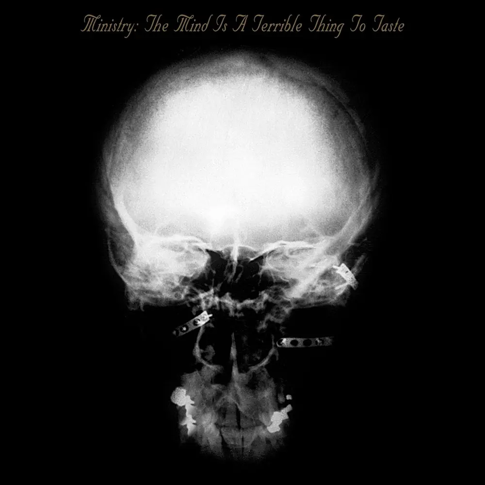 Ministry – MIND IS A TERRIBLE THING TO TASTE (CD)