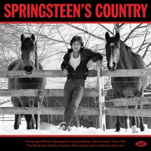 SPRINGSTEEN'S COUNTRY thumbnail