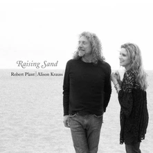 Robert Plant & Alison Krauss, Vinyl RAISING SAND